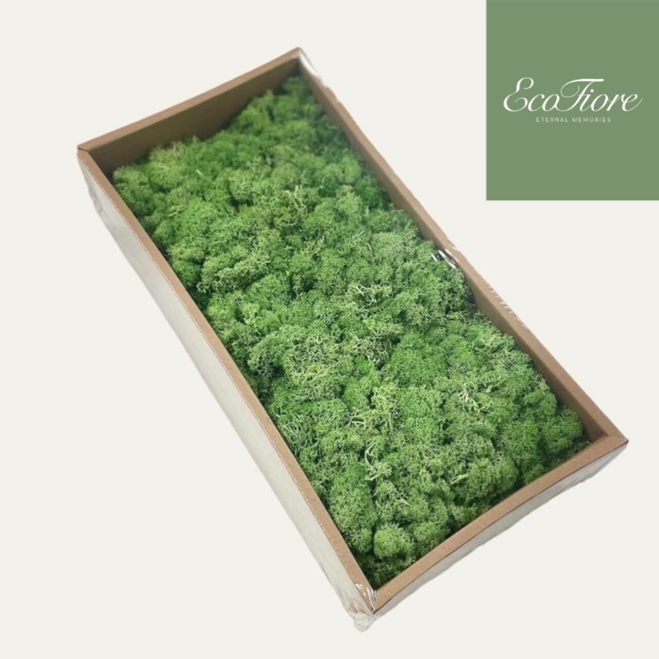 Moss Preserved Dark Green for Fairy Gardens Terrariums, Craft, DIY, Floral, 500g